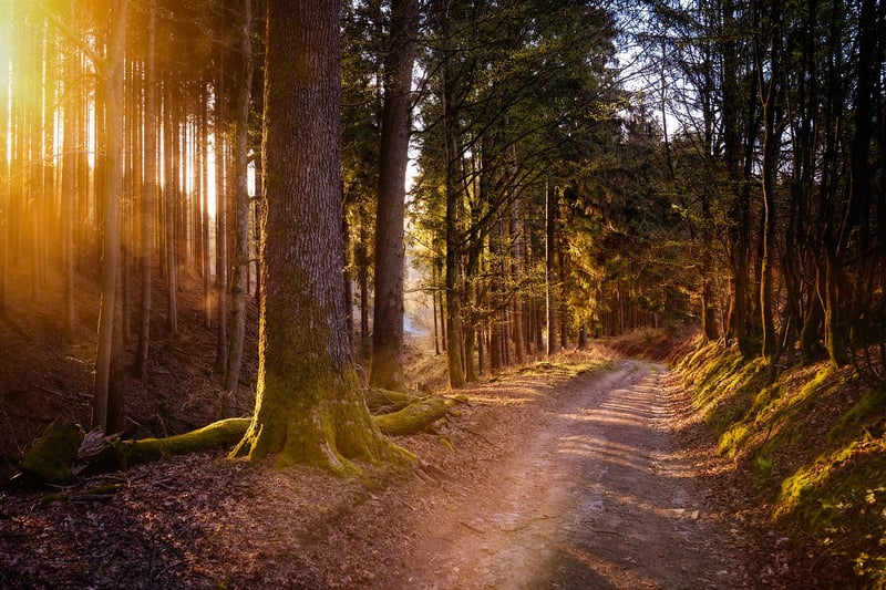 Serenity Path